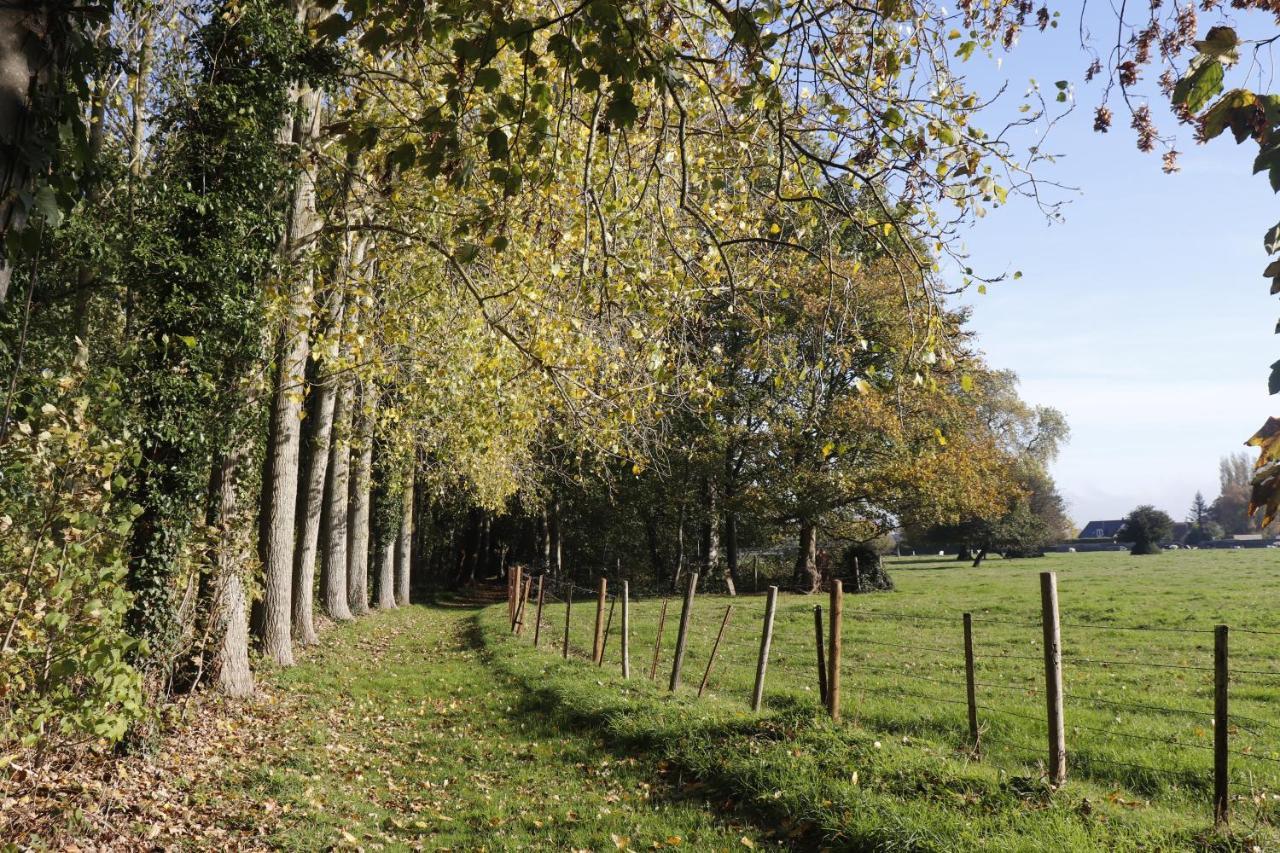 Le Domaine Saint Ange Maison d'hôtes